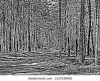 Monochrome landscape of a forest grove with a striped road in it. Overlay template. Vector illustration