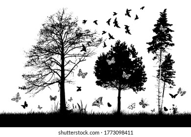Monochrome landscape with trees and butterflies. Vector illustration