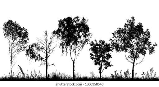 Paisaje monocromo con árboles. Ilustración del vector