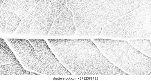Ventilación de hoja monocromática macro textura punteada, geometría de celosía orgánica. Fondo de vena botánica, grano de fotocopia retro, patrón de moteado de puntillismo, Ilustración vectorial.
