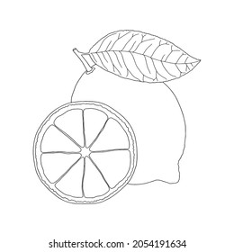 Monochrome lemon. Can be used for postcards, invitations, advertising, web, textile and other.