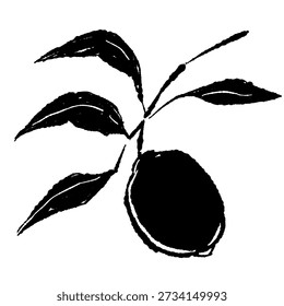 Monochrome Lemon on Branch Vector