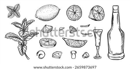 Monochrome lemons, mint leaves, open bottle with cork, and stemmed shot glass vector isolated illustration clip art. Etching drawing of ingredients for preparing drinks, syrups, refreshing cocktails.