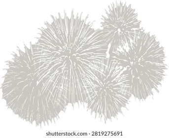Monochrome light grey firework explosion cluster vector set isolated on white background
