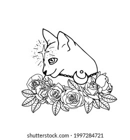 Monochrome line art illustration of hand drawn mystical cat. Witch pet black and white decorated with flowers. Isolated on white background.