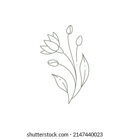 Monochrome line art may lily with bud, stem and leaves elegant wall print design logo vector illustration. Simple icon botanical flower spring natural plant for greeting card invitation gardening farm