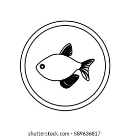 monochrome line contour with fish in circular frame vector illustration