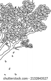 Dibujo de línea monocroma rama de cerezo elegante