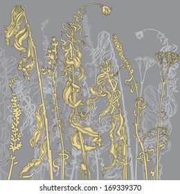 monochrome line drawing herbs, vector illustration
