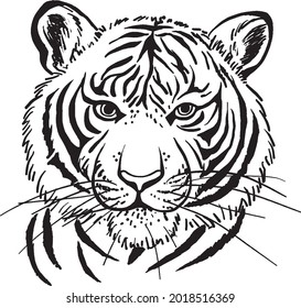 Monochrome line drawing illustration of the front tiger's face
