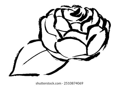 monochrome line drawing illustration of a rose and a leaf seen from the side with a touch of brush