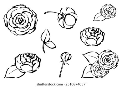 monochrome line drawing set of rose with brush touch