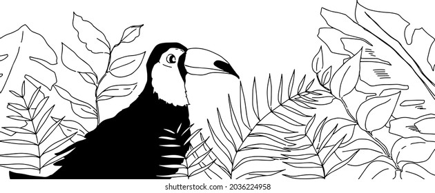 Monochrome line drawing toucan and botanical background illustration