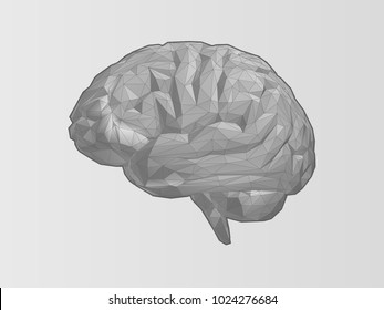 Monochrome low poly brain illustration with wireframe on white background