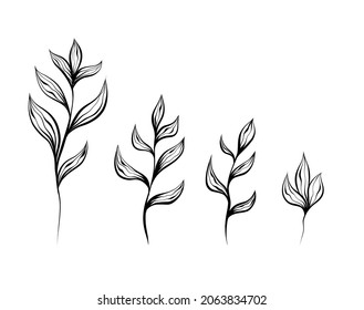 Monochrome natural set of sketches of plants and stems with foliage on white background. Vector outline herbal image with branch with leaves isolated from background.