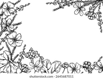 Nórdico monocromático florescendo nublação e urze ramos quadro de vetor com espaço vazio para o texto. Desenho gráfico de plantas de tundra marsh para embalagem, cartazes botânicos e rótulo de produto orgânico
