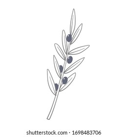 Monochrome olive branch vector. Symbol of Greece. Eco food. Greek cuisine