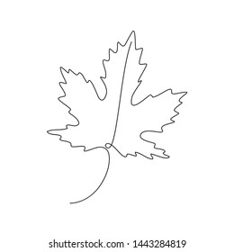 monochrome one line illustration with a leaf contour. Specially for school theme.