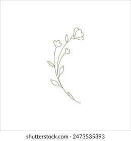 Monochrome organic flower wildflower lineart decorative element for simple logo design vector illustration. Botanical floral plant natural greenery vegetation blossom contoured decor design wall art