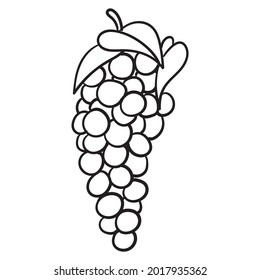 monochrome outline drawing of a bunch of grapes.