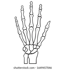 Monochrome Outline Drawing Human Skeleton Hand Stock Vector (Royalty ...