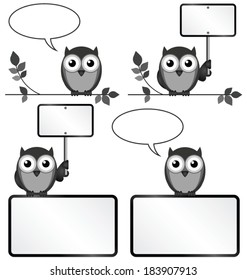 Monochrome owls with copy space for own text or graphics sign isolated on white background