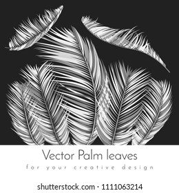 Monochrome Palm Branches in Various Forms. Tropic Foliage. Illustration of Jungle Plants. Vector Palm Leaves. Floral Elements Set. Detailed Palm Leaves for Pattern, Print or Your Creative Design.