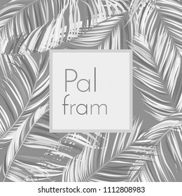 Monochrome Palm Branches in Various Forms. Tropic Foliage. Illustration of Jungle Plants. Vector Palm Leaves. Floral Elements Set. Detailed Palm Leaves for Pattern, Print or Your Creative Design.