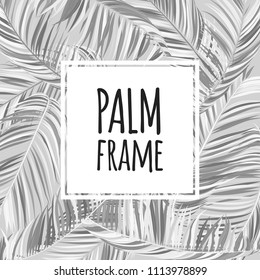 Monochrome Palm Branches in Various Forms. Tropic Foliage. Illustration of Jungle Plants. Vector Palm Leaves. Floral Elements Set. Detailed Palm Leaves for Pattern, Print or Your Creative Design.