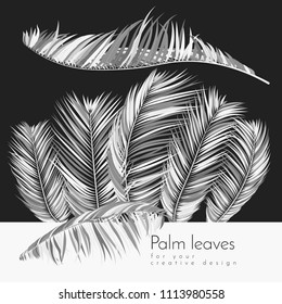 Monochrome Palm Branches in Various Forms. Tropic Foliage. Illustration of Jungle Plants. Vector Palm Leaves. Floral Elements Set. Detailed Palm Leaves for Pattern, Print or Your Creative Design.