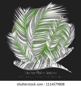 Monochrome Palm Branches in Various Forms. Tropic Foliage. Illustration of Jungle Plants. Vector Palm Leaves. Floral Elements Set. Detailed Palm Leaves for Pattern, Print or Your Creative Design.