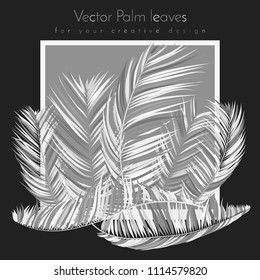 Monochrome Palm Branches in Various Forms. Tropic Foliage. Illustration of Jungle Plants. Vector Palm Leaves. Floral Elements Set. Detailed Palm Leaves for Pattern, Print or Your Creative Design.