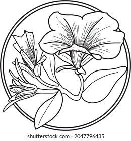 Monochrome pattern in a circle with petunia flowers, buds and leaves on a transparent background, vector illustration