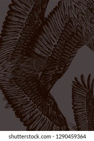 Monochrome pattern. Grey background with brown and black birds. Flying bald eagles. To be used for fabric design, print t shirt, wrapping paper.