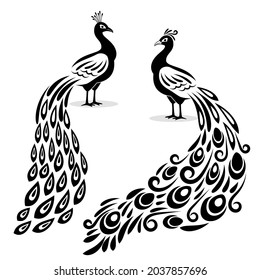 Monochrome peacock. Hand drawn peecoock isolated black silhouette on white page, book stylized pavonine animal bird vector illustration, peafowl art design image