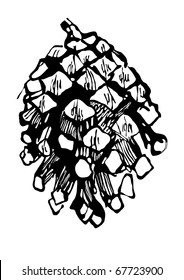 Monochrome Pen Drawing Fir-cone