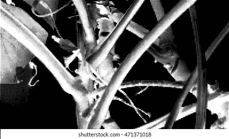 Monochrome philodendron leaves and branches background.