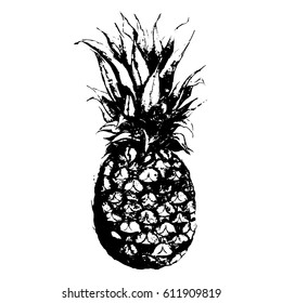 Monochrome pineapple fruit hand drawn sketched isolated vector