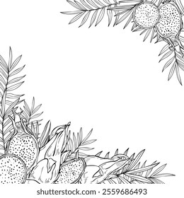 Monochrome pitahaya dragon fruit and tropical leaves graphic square frame with copy space for text. Fruit slices, plants vector etching drawing. Food ingredient for menu decor, cooking book.