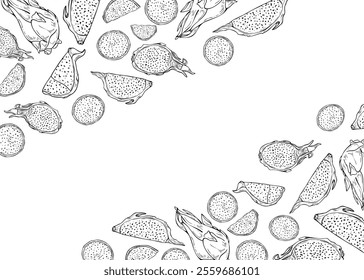 Monochrome pitahaya fruit hand drawn vector horizontal frame with empty space for text. Aromatic dragon fruit slices etching drawing border for label design, invitation, greeting cards.