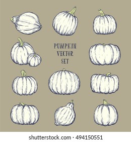 Monochrome pumpkin set for thanksgiving day, halloween etc. Vector sketchy illustration