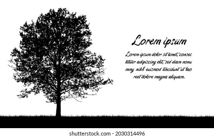 Monochrome realistic illustration of a banner with deciduous tree, grass and text. Template for advertising or postcard - vector