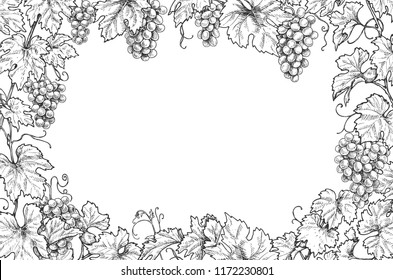 Monochrome rectangle horizontal frame made with grapes branches and berries.  Hand drawn grape bunches and leaves. Black and white border with space for text. Vector sketch.