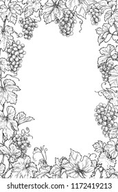 Monochrome rectangle vertical frame made with grapes branches and berries.  Hand drawn grape bunches and leaves. Black and white border with space for text. Vector sketch.