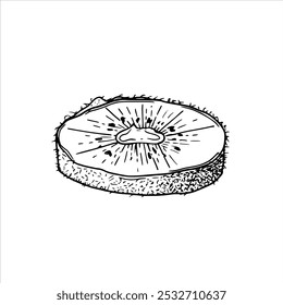 Monochrome ripe kiwi fruit slice realistic graphic sketch illustration. Tropical sweet Actinidia piece plant vector etching drawing. Food ingredient for dessert decor, cooking book.