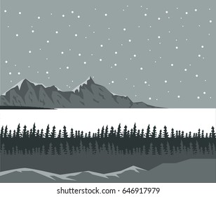 monochrome scene landscape background of far snowy lake and starry sky