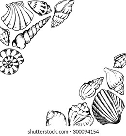 Monochrome sea shells line art hand drawn frame vector isolated