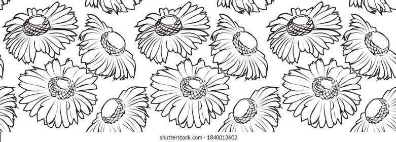 Monochrome Seamless black and white summer pattern flower daisy, isolated on white background vector illustration