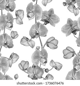Patrón floral monocromo sin fisuras con flores orquídea sobre fondo blanco. Dibujado a mano. Blanco y negro. Ilustración de material vectorial.