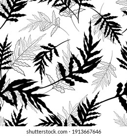 Monochrome nahtlose Muster mit schwarzen tropischen Farnblättern. Botanische Sommerstruktur. Auf weißem Hintergrund.